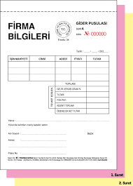 GİDER PUSULASI ve GİDER MAKBUZU 